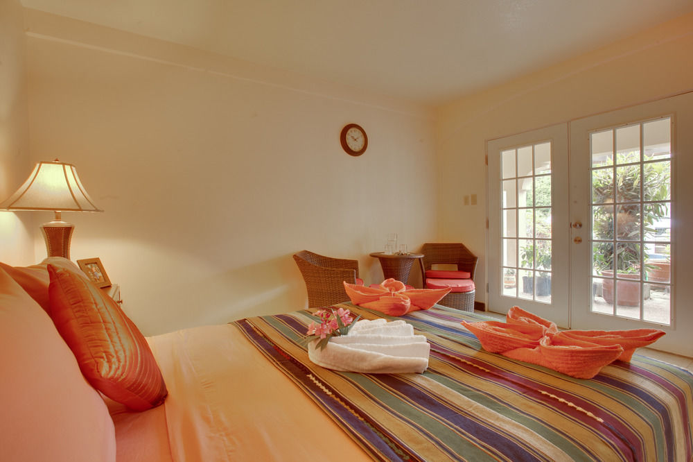 Caribbean Shores Bed & Breakfast Dangriga Exterior photo