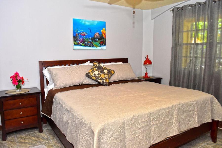 Caribbean Shores Bed & Breakfast Dangriga Exterior photo